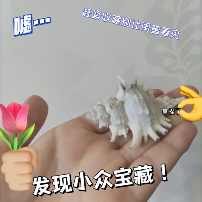 鱼缸