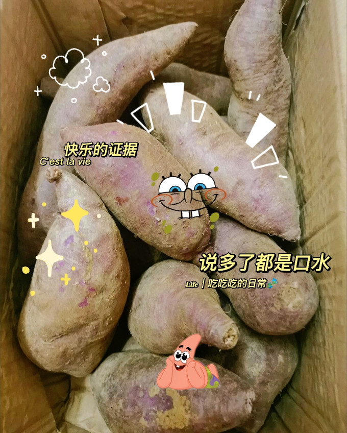 乡田优品蔬菜