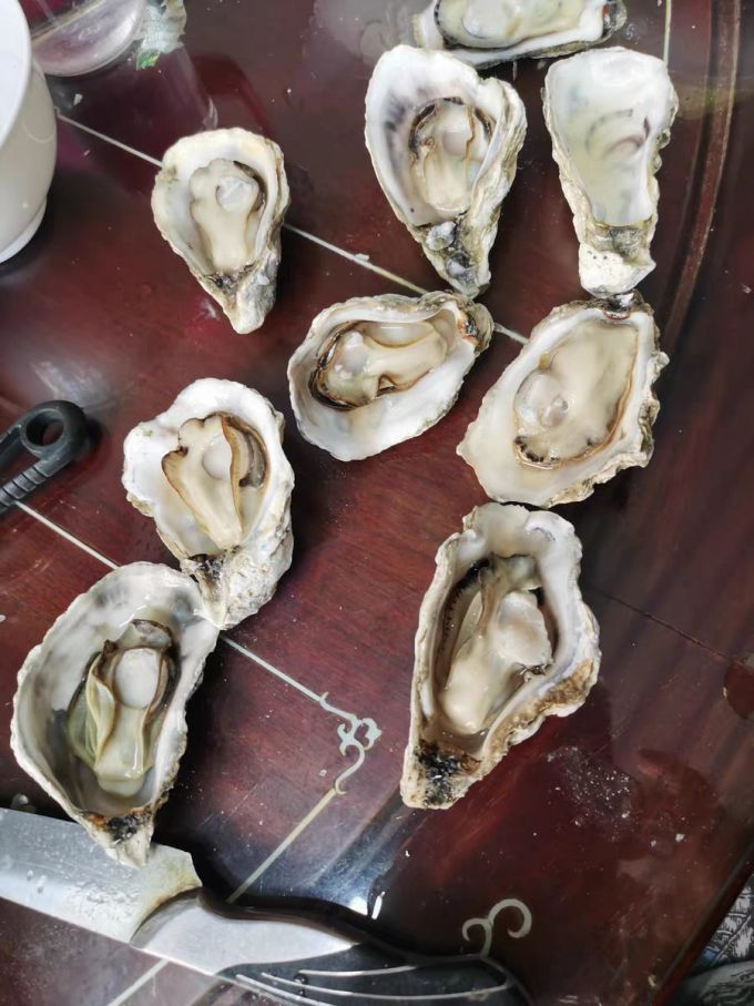 鲜驰海鲜水产