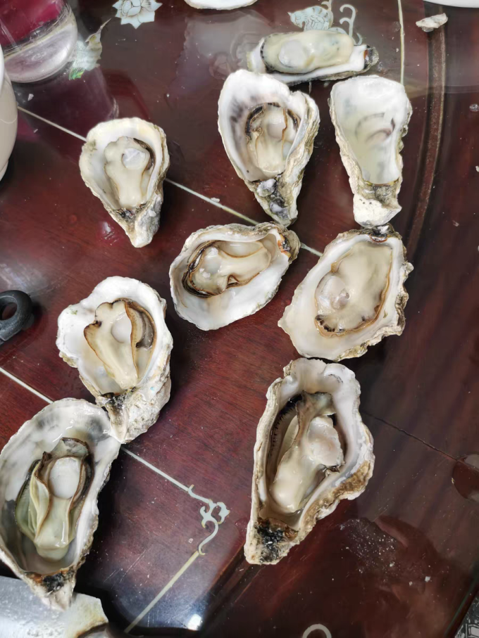 鲜驰海鲜水产