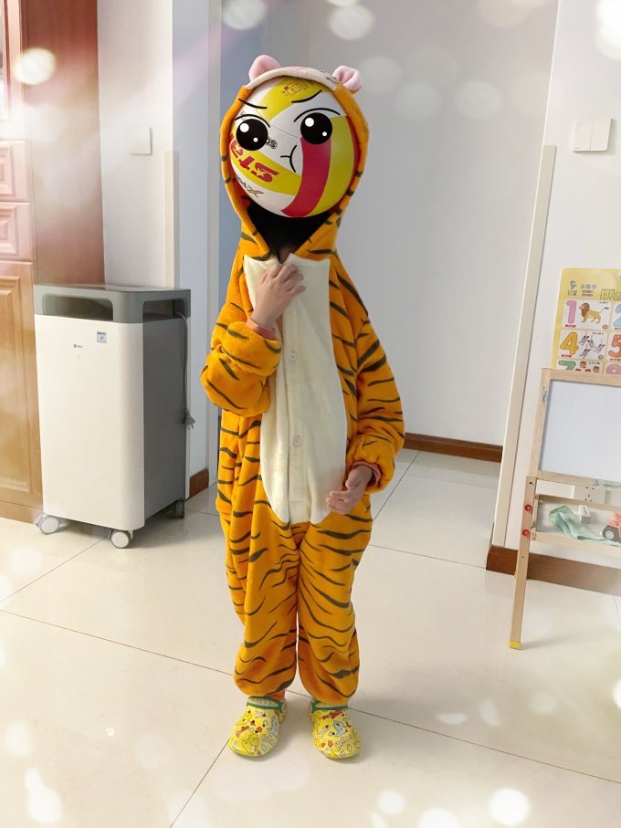 睡衣上装