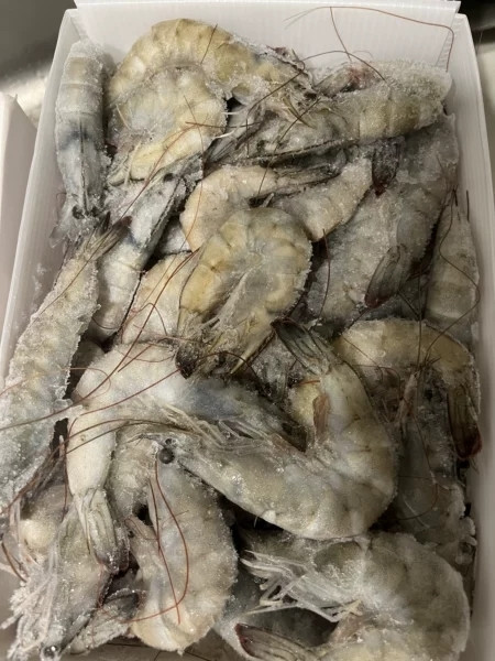 速冻海鲜水产冷冻鲜虾