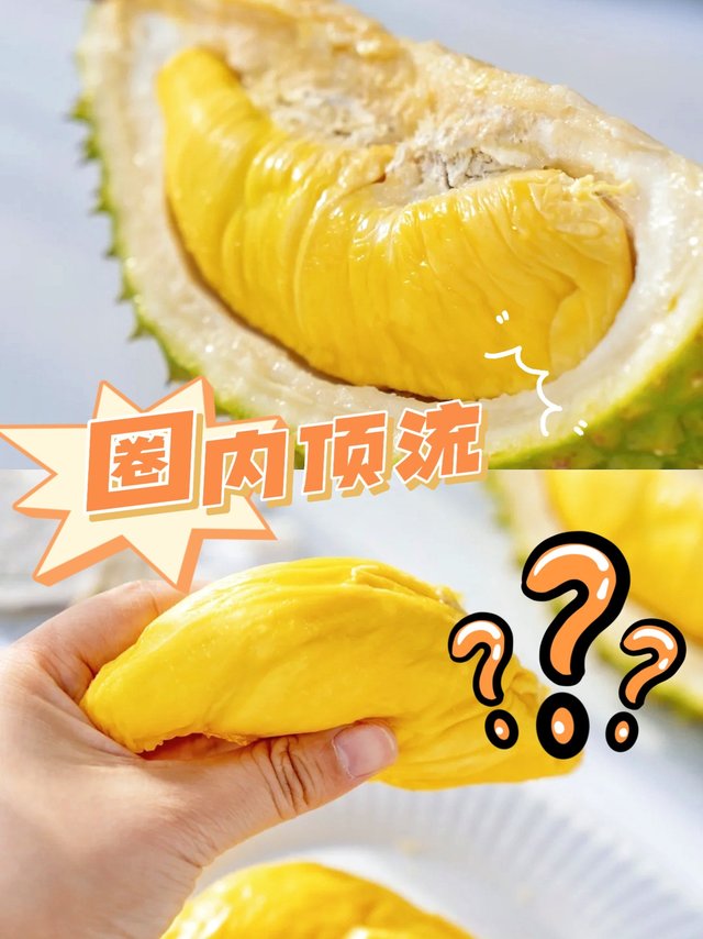 猫山王榴莲究竟有多好？