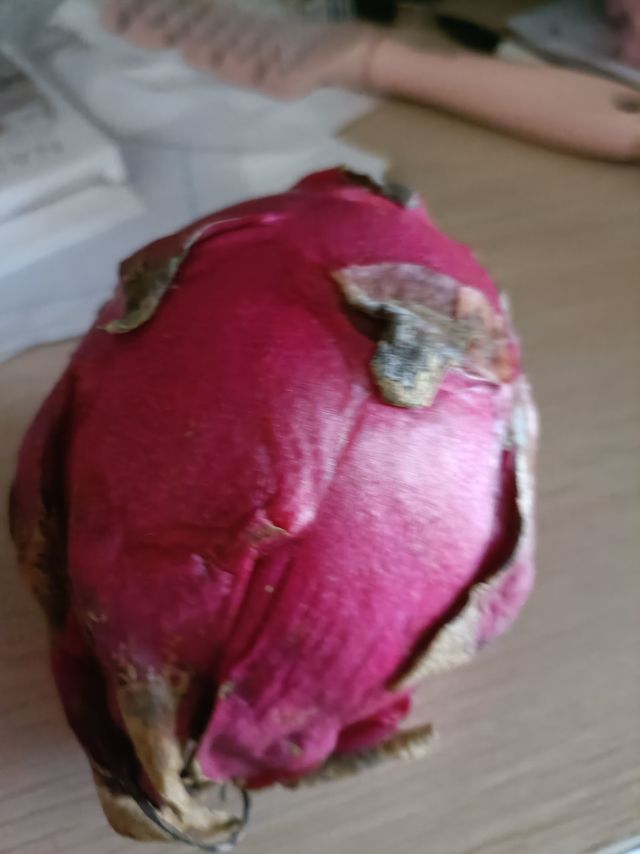 大自然的染色剂火龙果