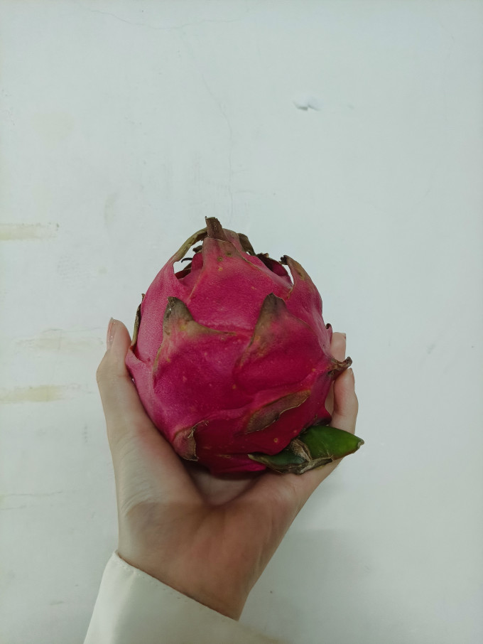 乡寸火龙果