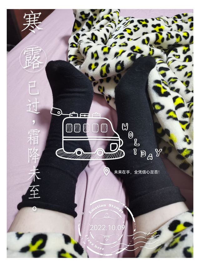 纯棉秋冬袜子，7.53元5双！彩色的秋天在手