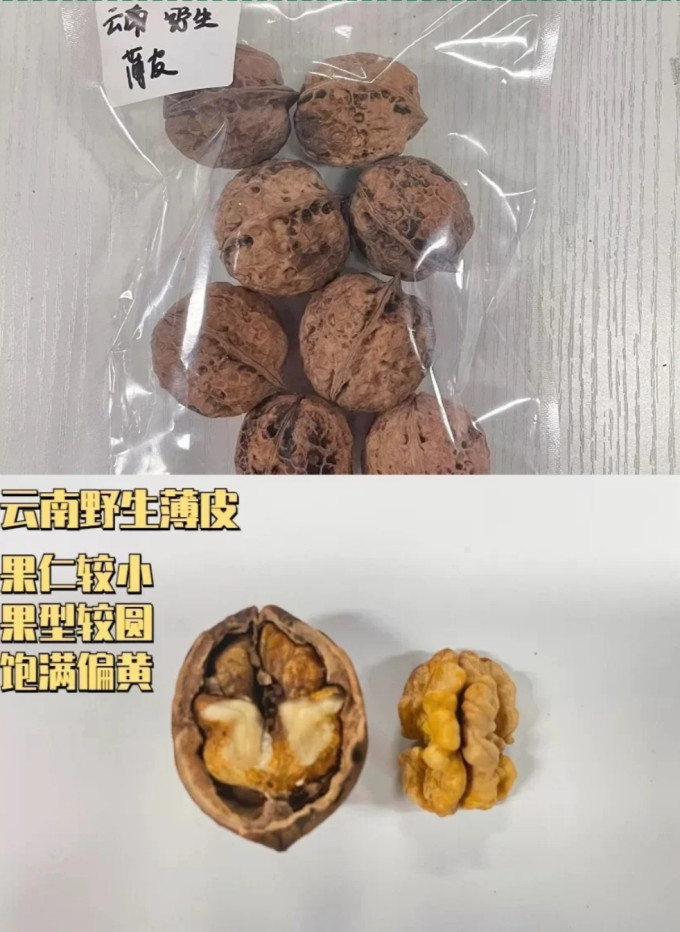 核桃