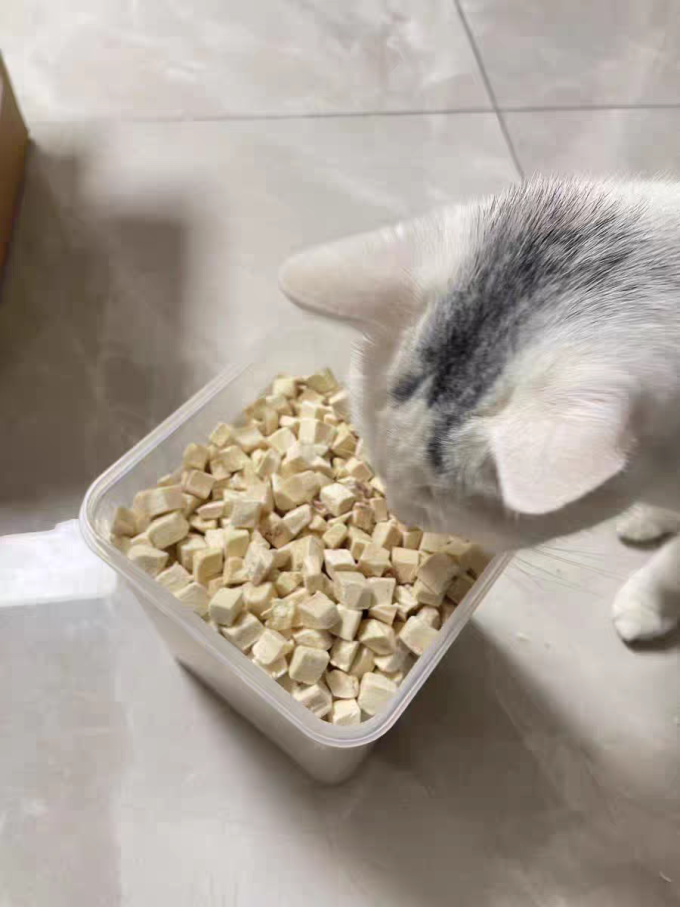 雪山之星猫粮