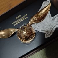 哈利波特这个金色飞贼的车载香薰都有了吧？
