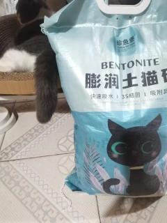 猫砂真的不错啊，结团效果好