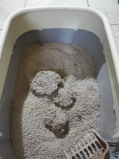 猫砂真的不错啊，结团效果好