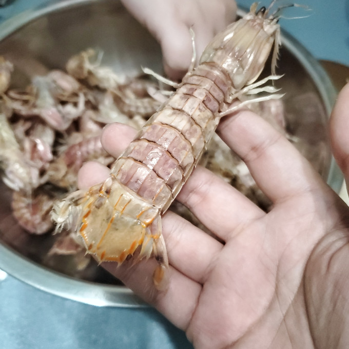 虾类