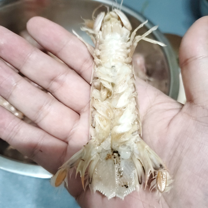 虾类