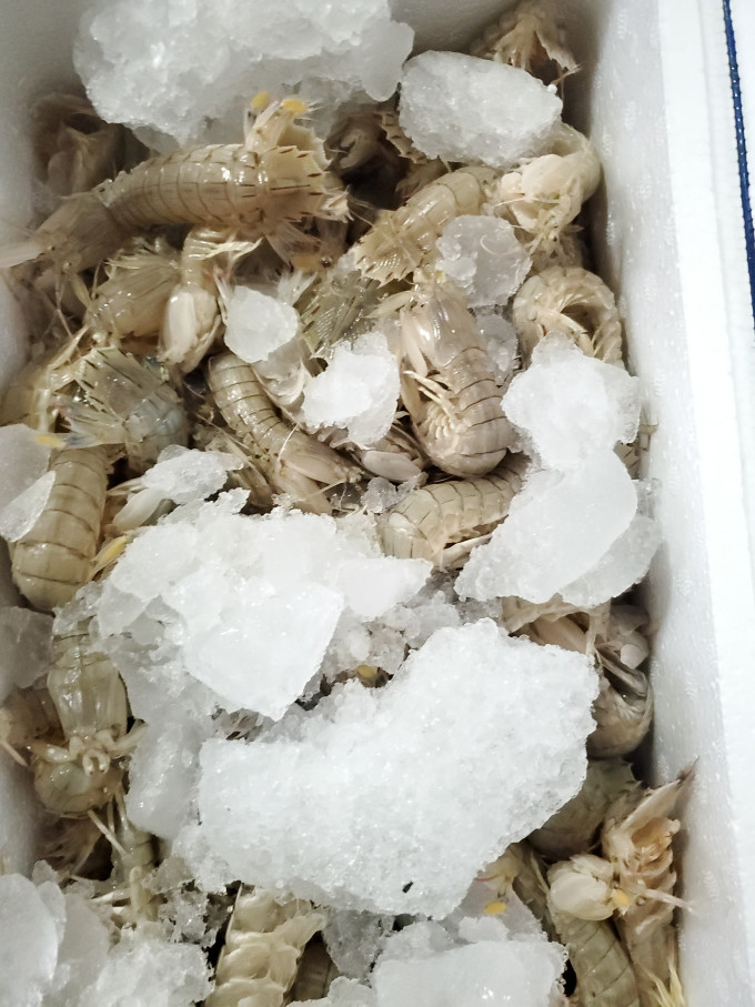 虾类