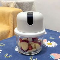 厨房小型捣蒜搅碎机，绞肉绞菜轻松简单