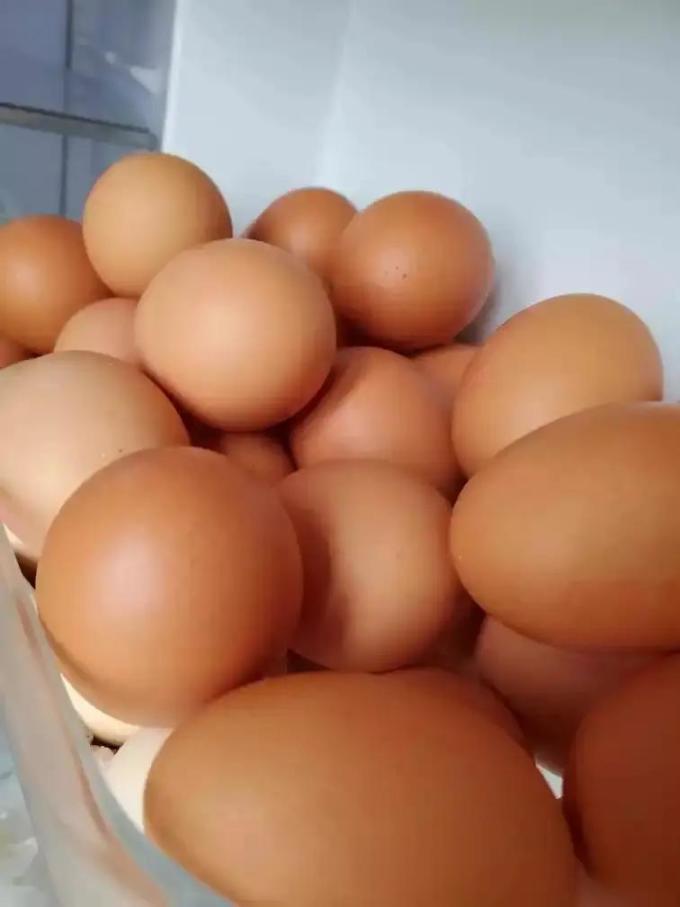 正大食品蛋类