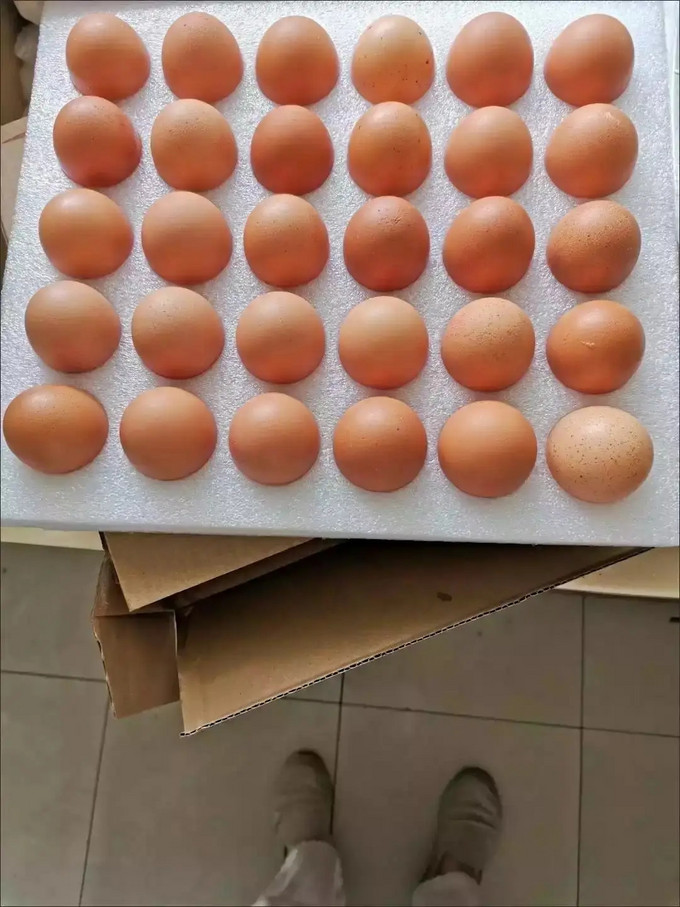 正大食品蛋类