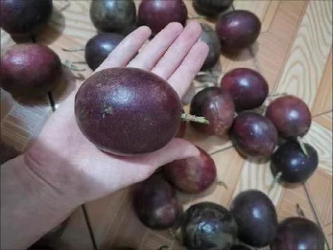 王小二新鲜水果