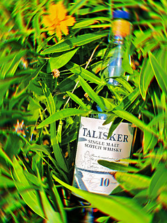 海王的宝藏-Talisker泰斯卡单一麦芽威士忌