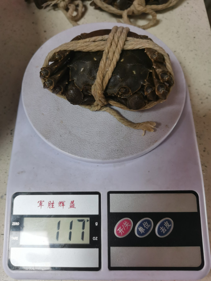 上麟记蟹类