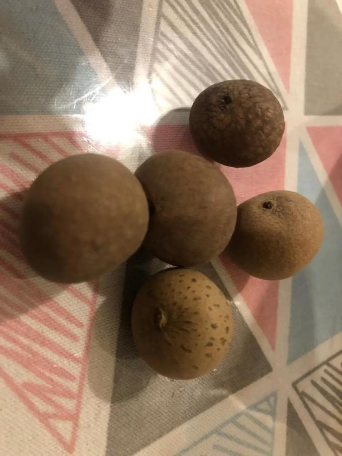 方家铺子红枣桂圆