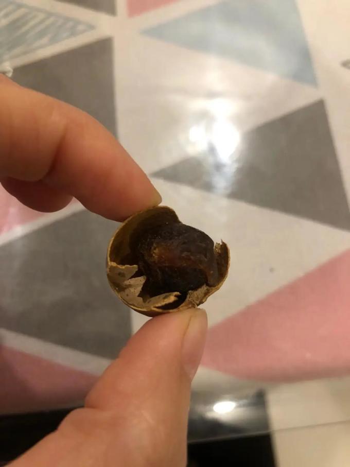 方家铺子红枣桂圆