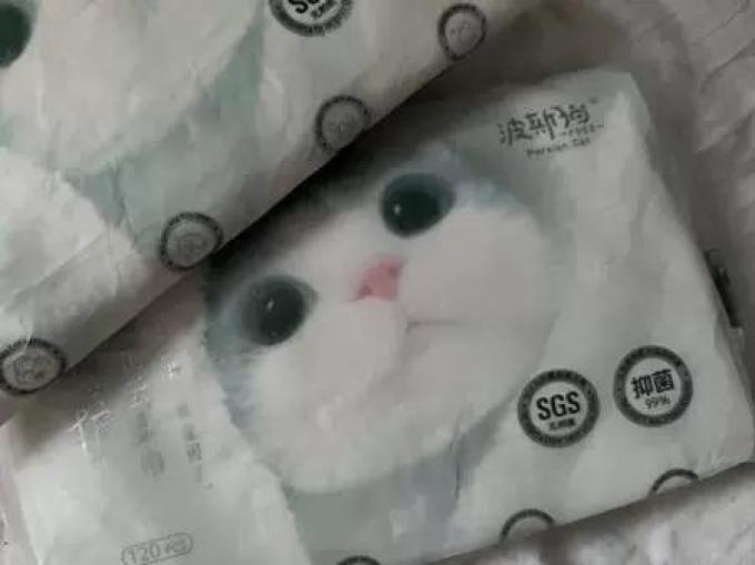 波斯猫婴儿湿巾