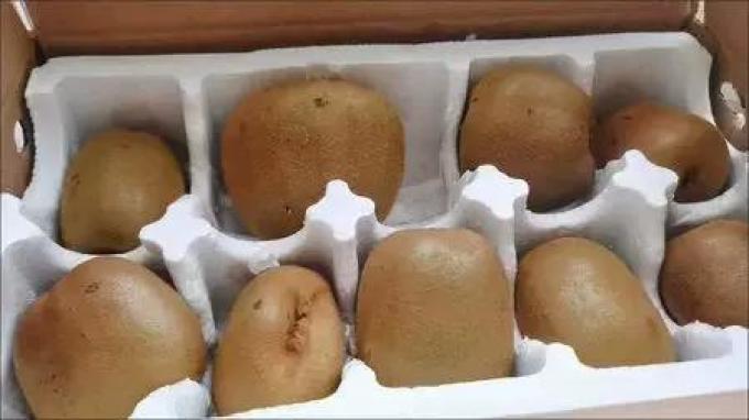 福瑞达新鲜水果