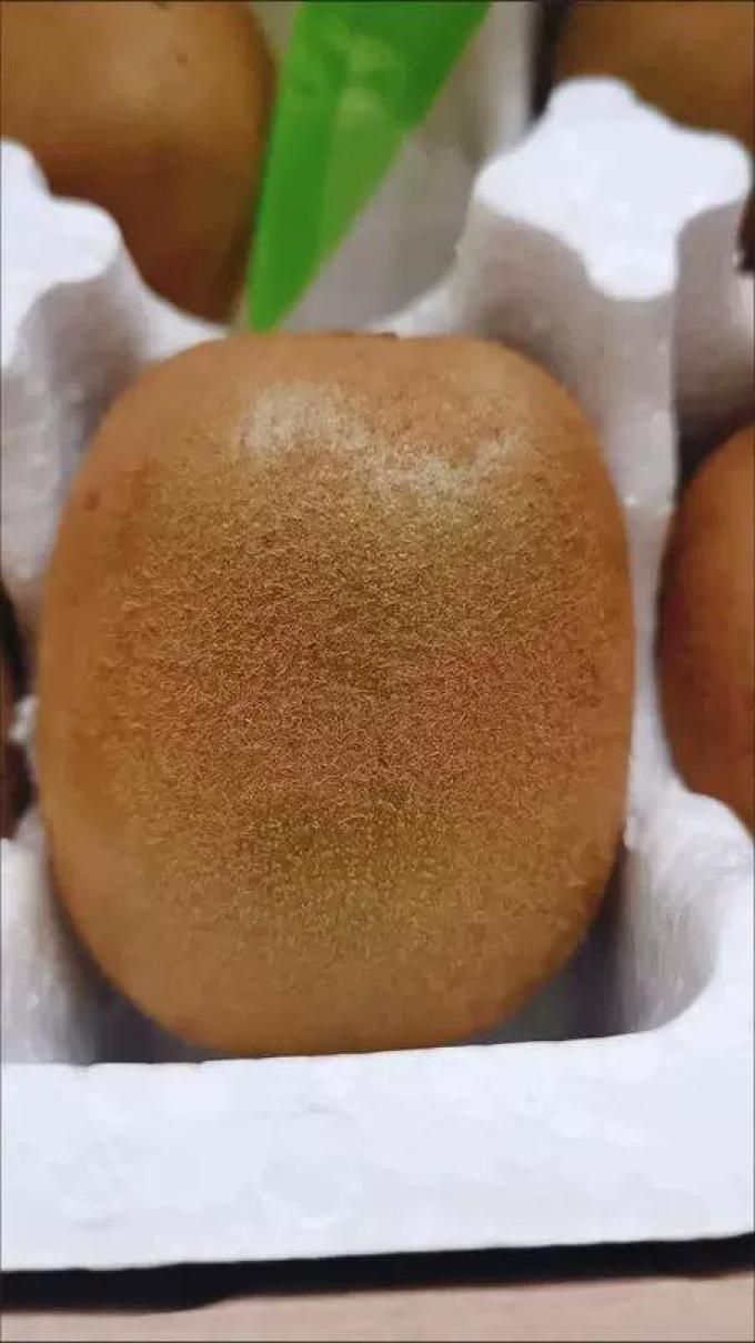 福瑞达新鲜水果