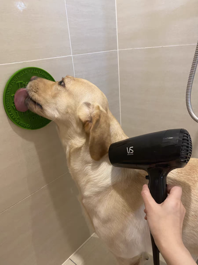 宠物食具水具