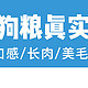 8大狗粮真实测评！纽顿、纽翠斯、顶制、艾贝克、皇家、耐威克、伯纳天纯狗粮什么牌子好？