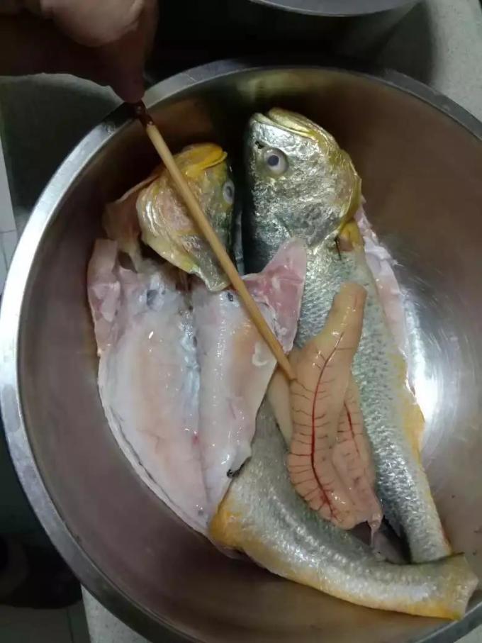 海名威鱼类