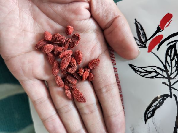 不要开水泡枸杞