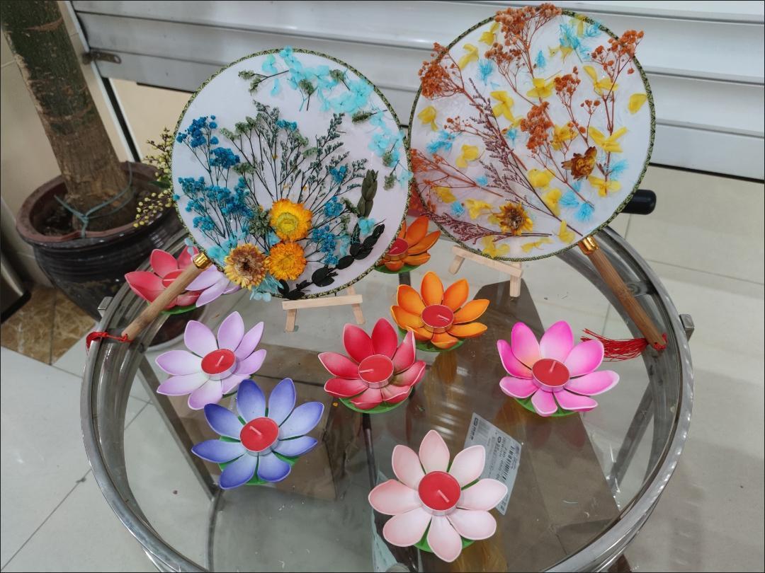 漂亮的干花团扇