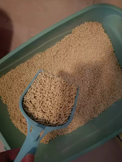 猫砂非常好用，家里猫咪非常喜欢猫砂颗粒均