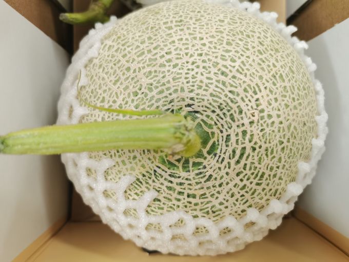 新鲜水果