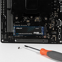 PNY必恩威 发布 CS1031 M.2 SSD，针对主流平台，五年保