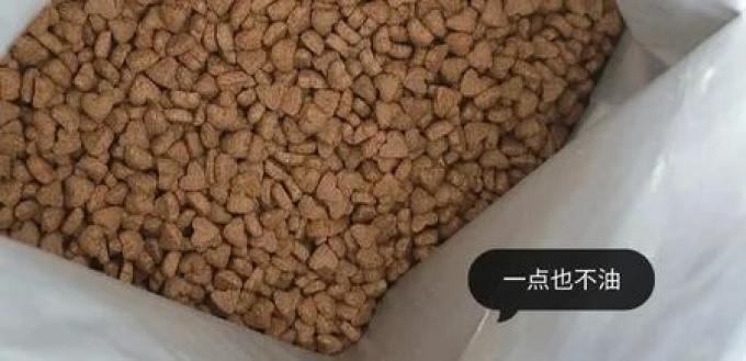 猫咪干粮