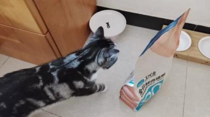 猫咪干粮
