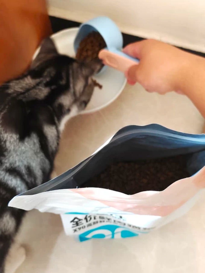 猫咪干粮