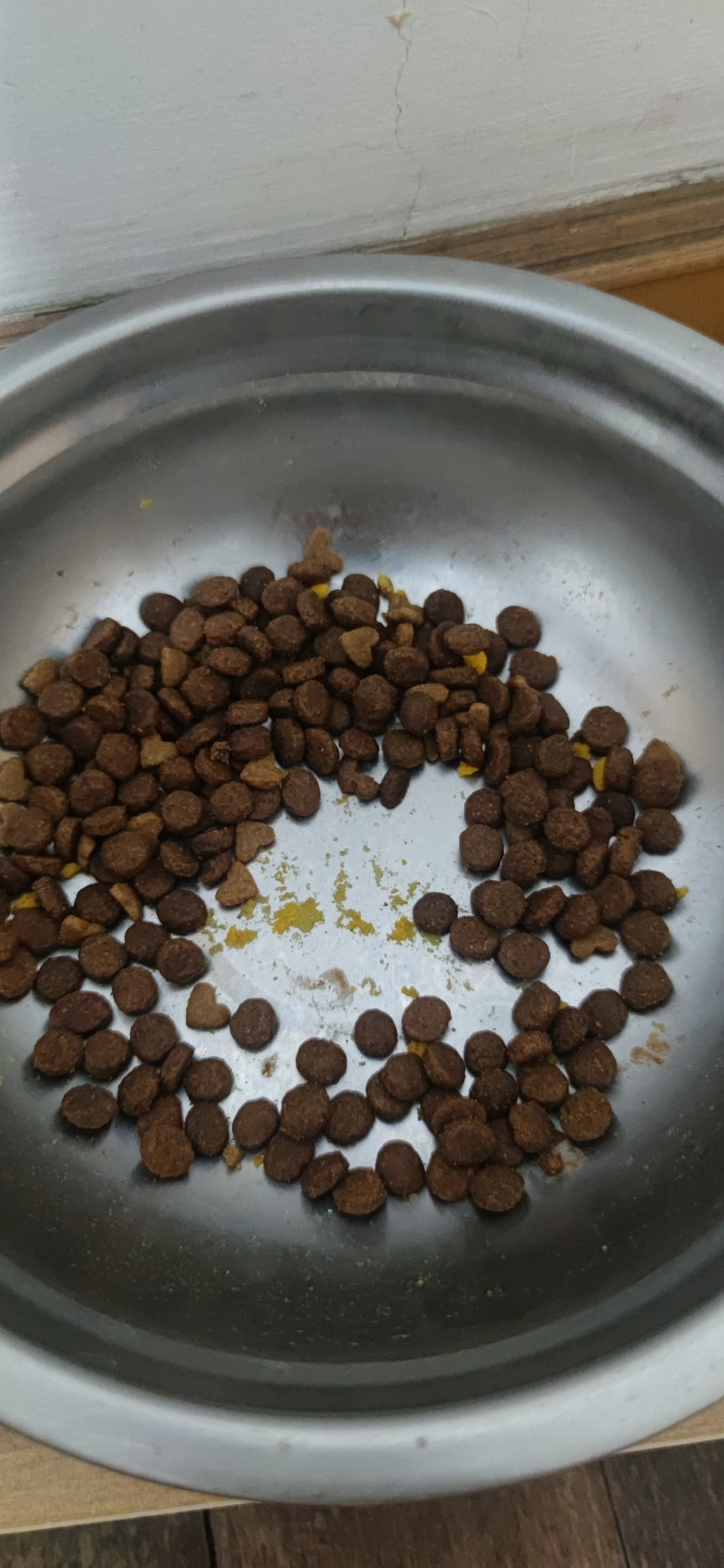 卫仕猫粮
