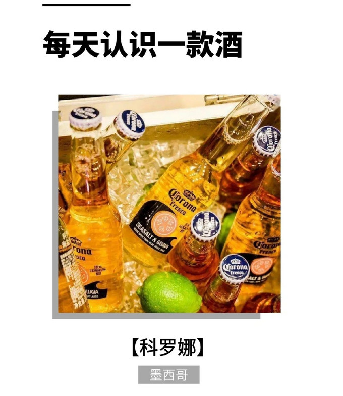 科罗娜精酿啤酒