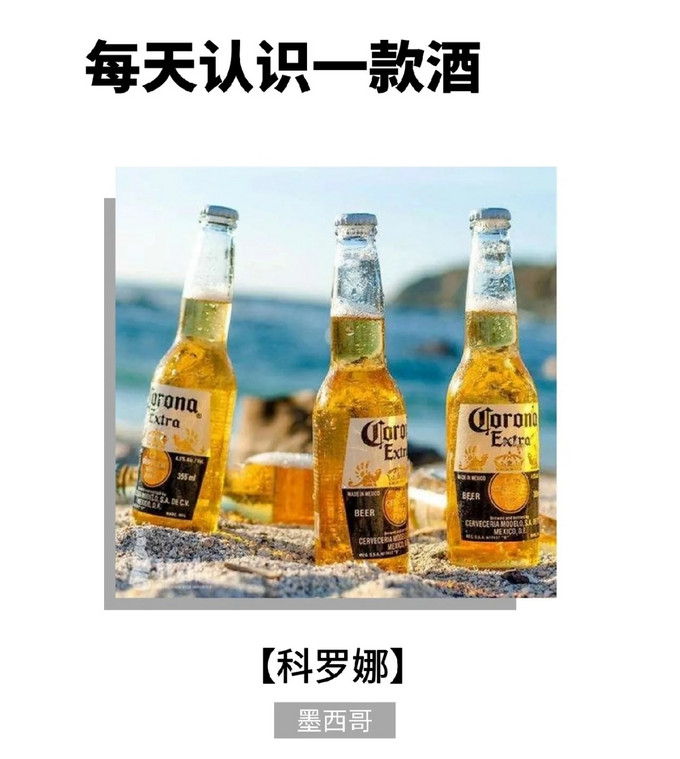 科罗娜精酿啤酒