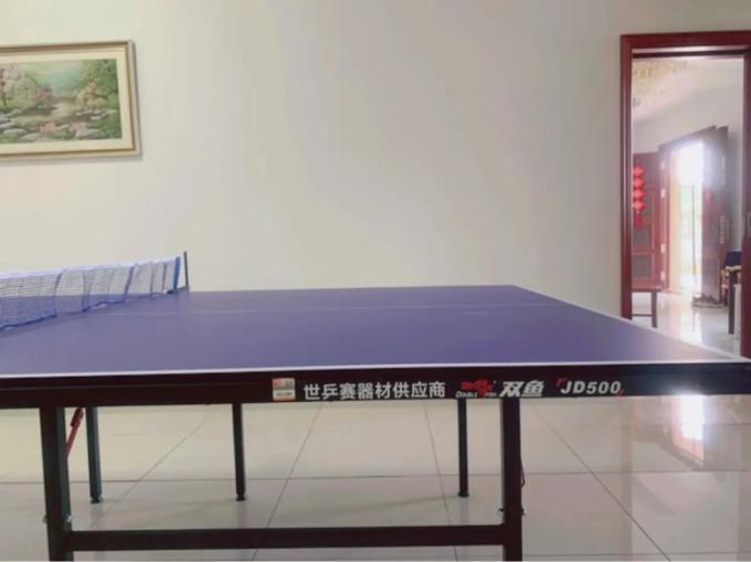双鱼乒乓球具