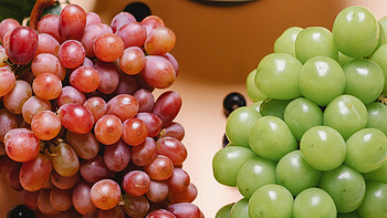为什么葡萄最适合酿酒，其他水果不行吗？