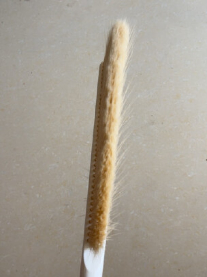 登比清洁刷