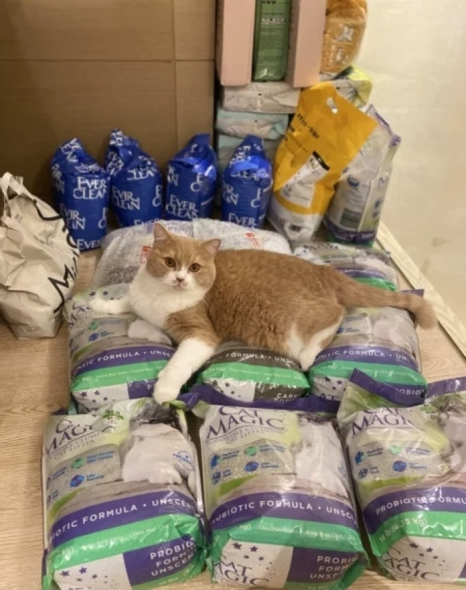 喵洁客猫砂