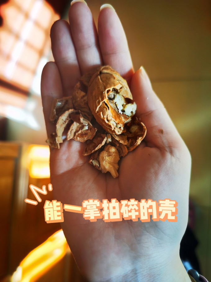 七彩之谜核桃