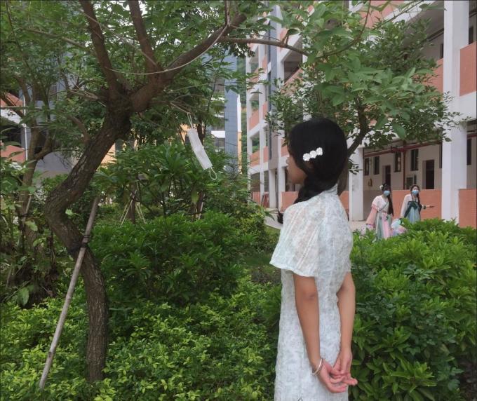 连衣裙