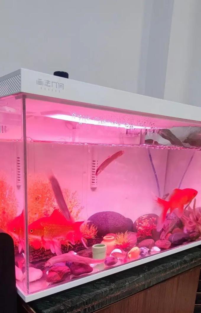 画法几何造景装饰